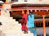 Gompa di Hemis 4